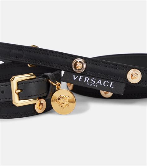 dog collar versace|versace medusa dog collar.